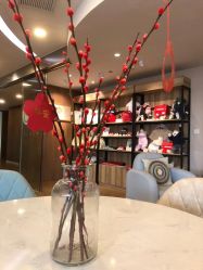 -海豚湾高端月子会所(黄浦店)