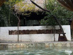 -观唐（国际）度假村温泉