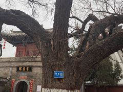 -洛阳周公庙博物馆