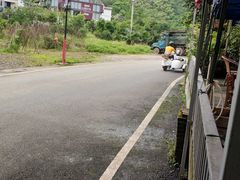 -遇龙河大樟树农家乐