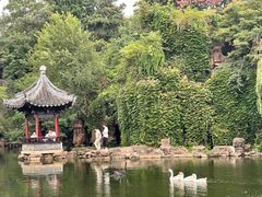 -水绘园
