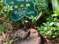 -呀诺达热带雨林