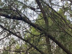 -青州市云门山风景区