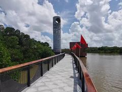 -东寨港红树林旅游区