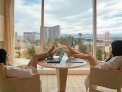 -拉斯维加斯永利酒店