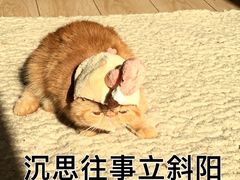 -乐清海鲜面馆(服装城店)