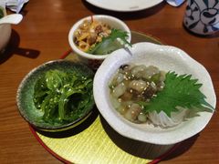 芥末章鱼-有喜屋·深夜食堂(北京西路店)