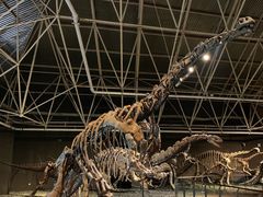 -世界恐龙谷景区