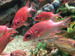 -太平洋海底世界