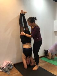 -兴亚瑜伽20年老馆