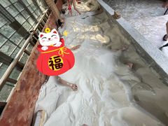 -三江森林温泉度假区