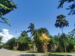 -中国科学院西双版纳热带植物园