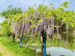-龙寺生态园
