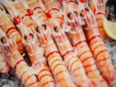 -Mr.Fish鱼鲜生海鲜放题(高德置地冬广场店)