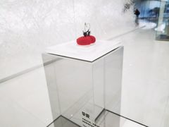 -罗红摄影艺术馆