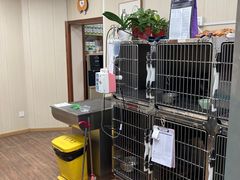 -中农大我爱我爱24h动物医院·中医针灸·猫专科·骨科医疗中心(双井店)