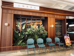 -三猫黑鱼花(南大店)