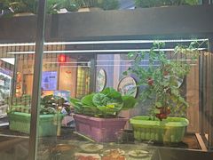 -番食园鲜食火锅(高新店)