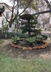 -莲生母婴月子中心(清水河公园店)