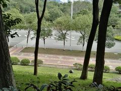 -玉树公园