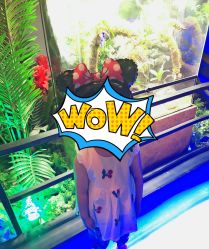 -未来动物城动物主题公园(大悦城店)