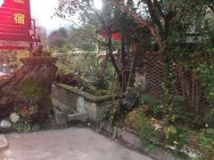 -青城甲(青城山店)