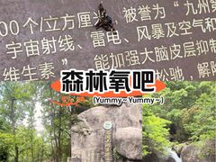 -大围山国家森林公园