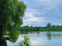 -江淮名灶生态农庄