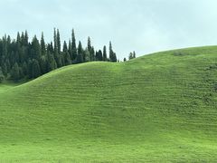 -新疆那拉提国家旅游度假区