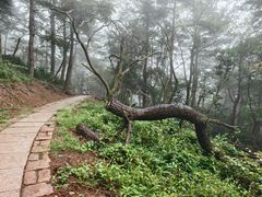 -莫干山风景区