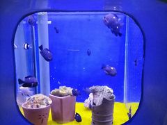 -海合安武汉极地海洋公园