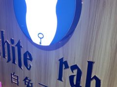 -白兔子密室(长寿路店)