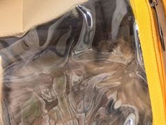 -艾贝尔宠物医院·狂犬免疫点(江山金象城店)