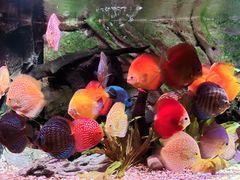 -上海海洋水族馆