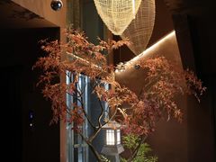 -椿杨樘·明康泡浴养生馆(重庆店)