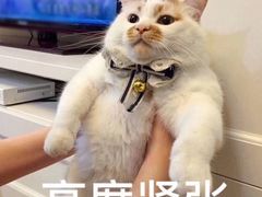 -71号豆汤饭·成都小馆(春熙路百盛店)