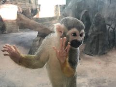 -鄂尔多斯野生动物园