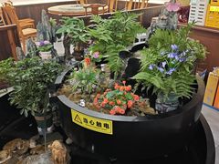 -九寨沟石锅鱼(沣峪口二十年店)
