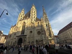 -斯蒂芬主教座堂(Stephansdom)