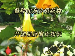 -国家植物园