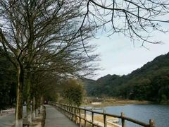 -广州市石门国家森林公园