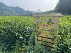 -中国茶叶博物馆(双峰馆区)