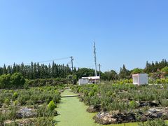 -嘉北郊野公园