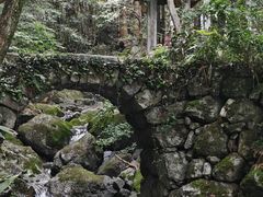 -天目山大树王景区