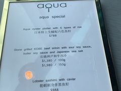 菜单-Aqua