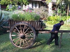 -四季酒店下午茶