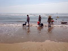 日照海滨国家森林公园-日照海滨国家森林公园