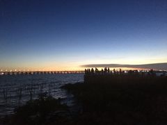 -宝安西湾红树林湿地公园