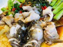 青花椒蒸笋壳鱼-猪肉婆私房菜(容桂总店)