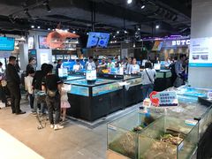 水产区-盒马鲜生(曜一城店)